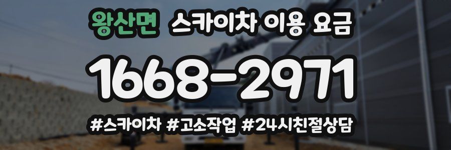 왕산면 스카이차 이용 요금