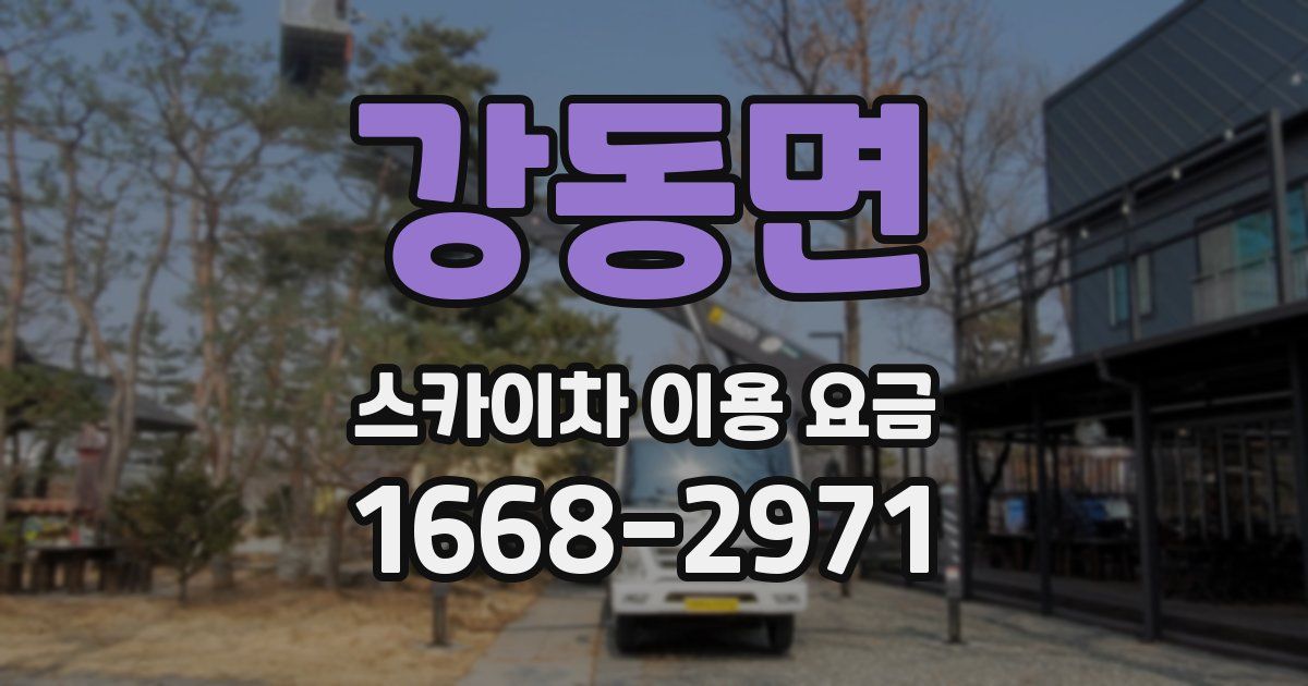 강동면 스카이차 이용 요금
