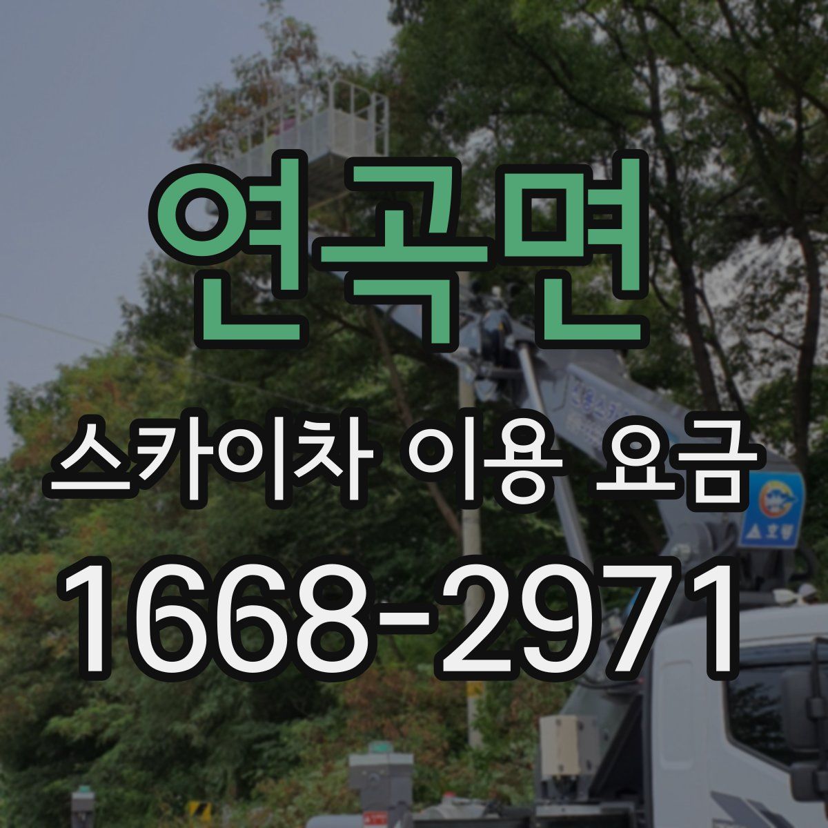 연곡면 스카이차 이용 요금