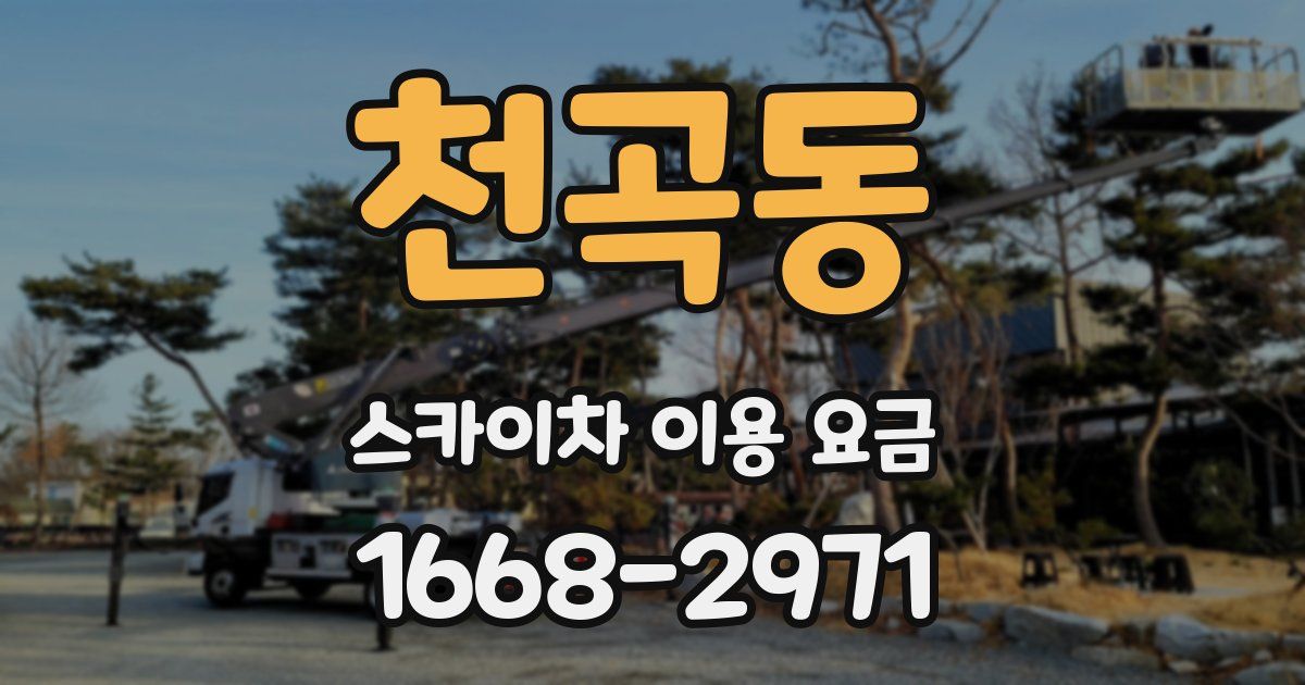 천곡동 스카이차 이용 요금