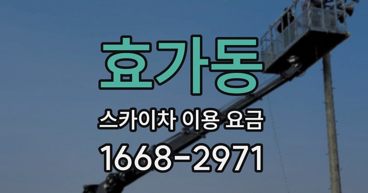 효가동 스카이차 이용 요금