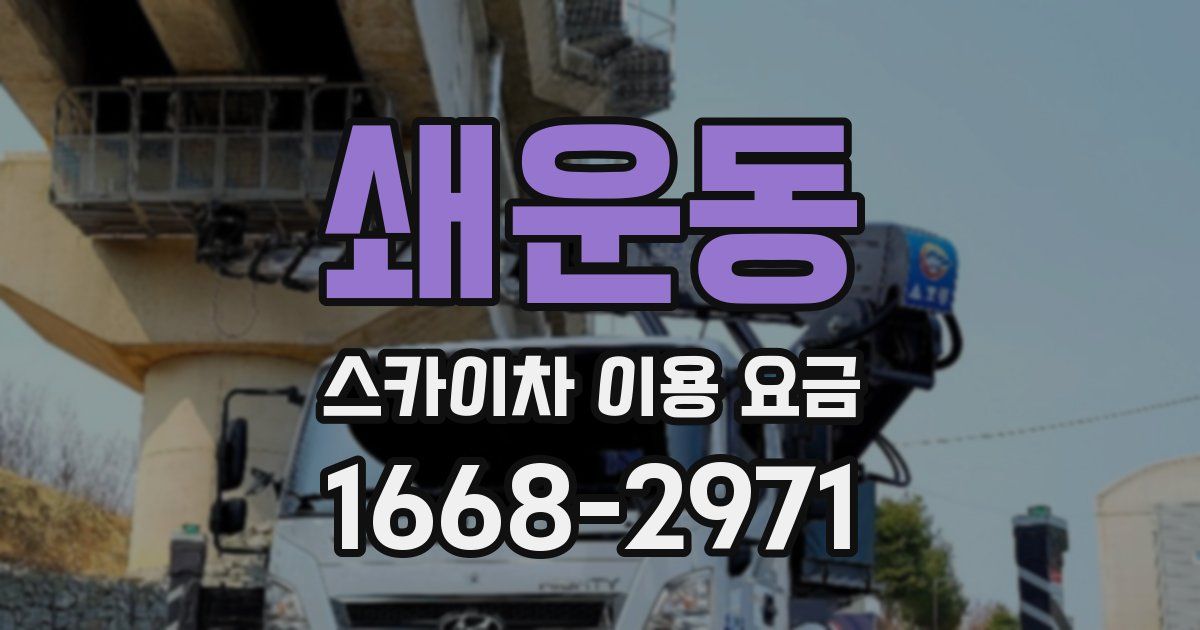 쇄운동 스카이차 이용 요금