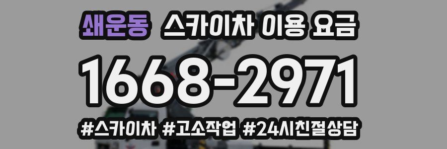 쇄운동 스카이차 이용 요금