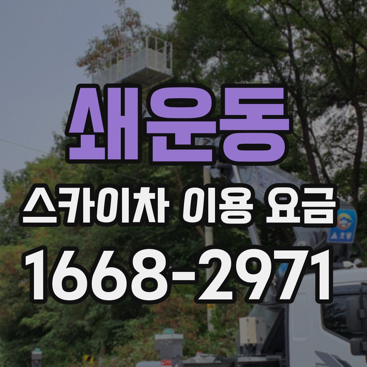 쇄운동 스카이차 이용 요금