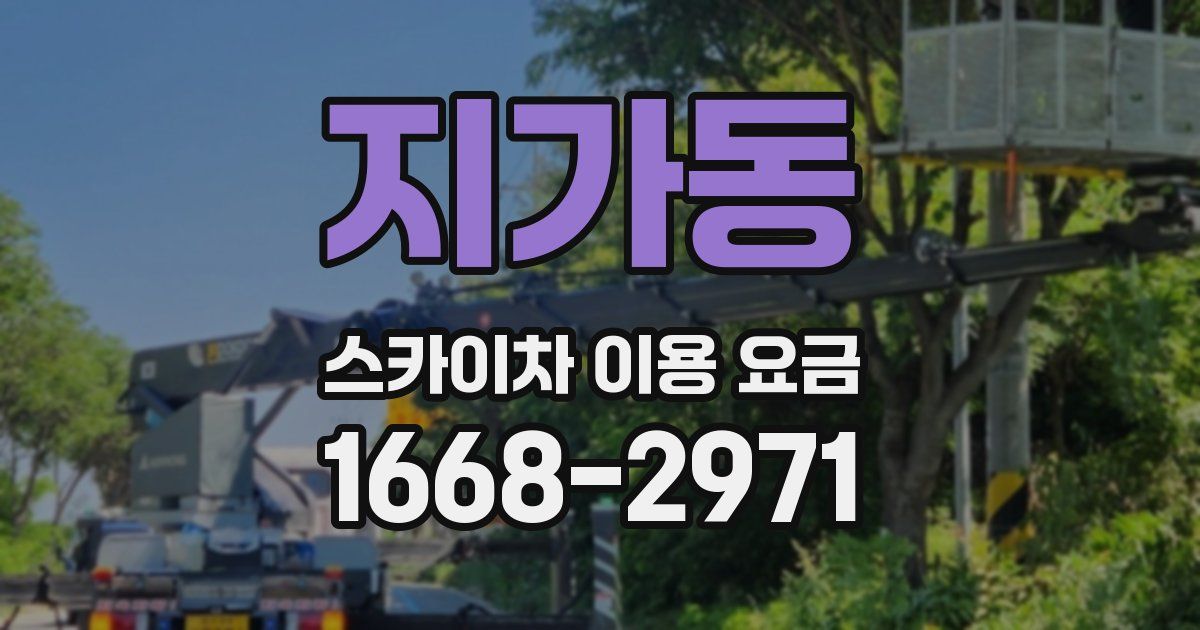 지가동 스카이차 이용 요금