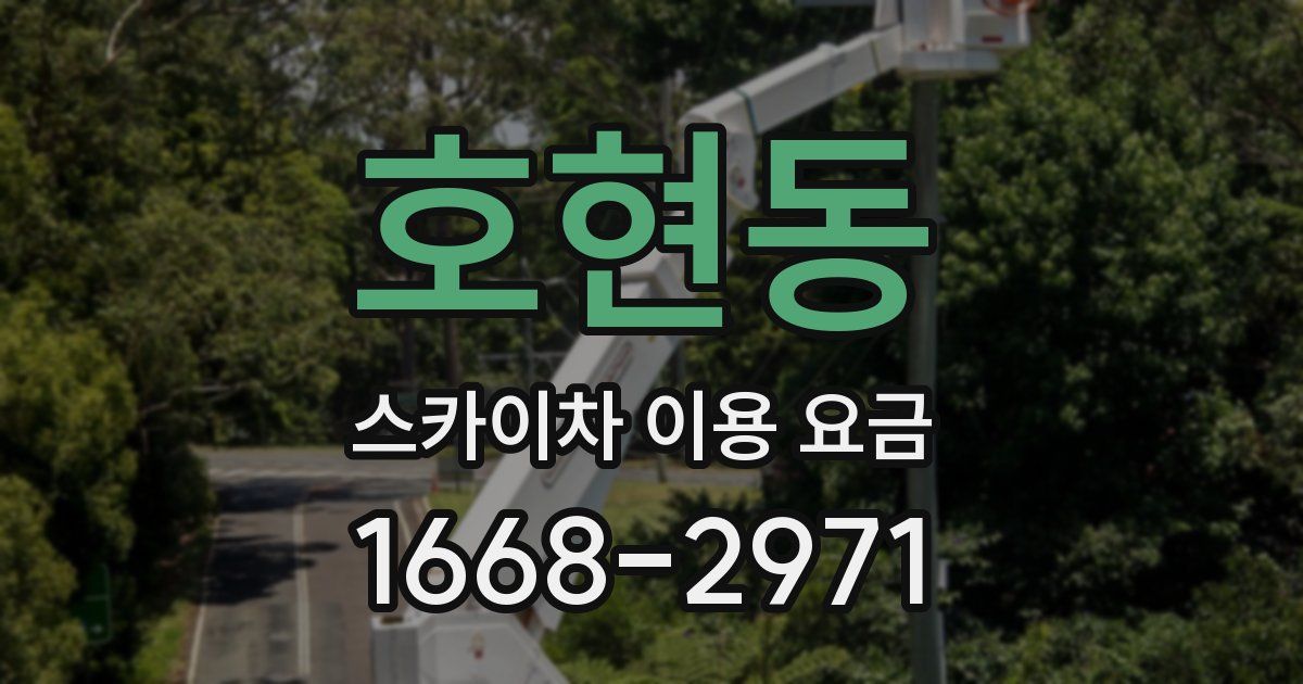 호현동 스카이차 이용 요금