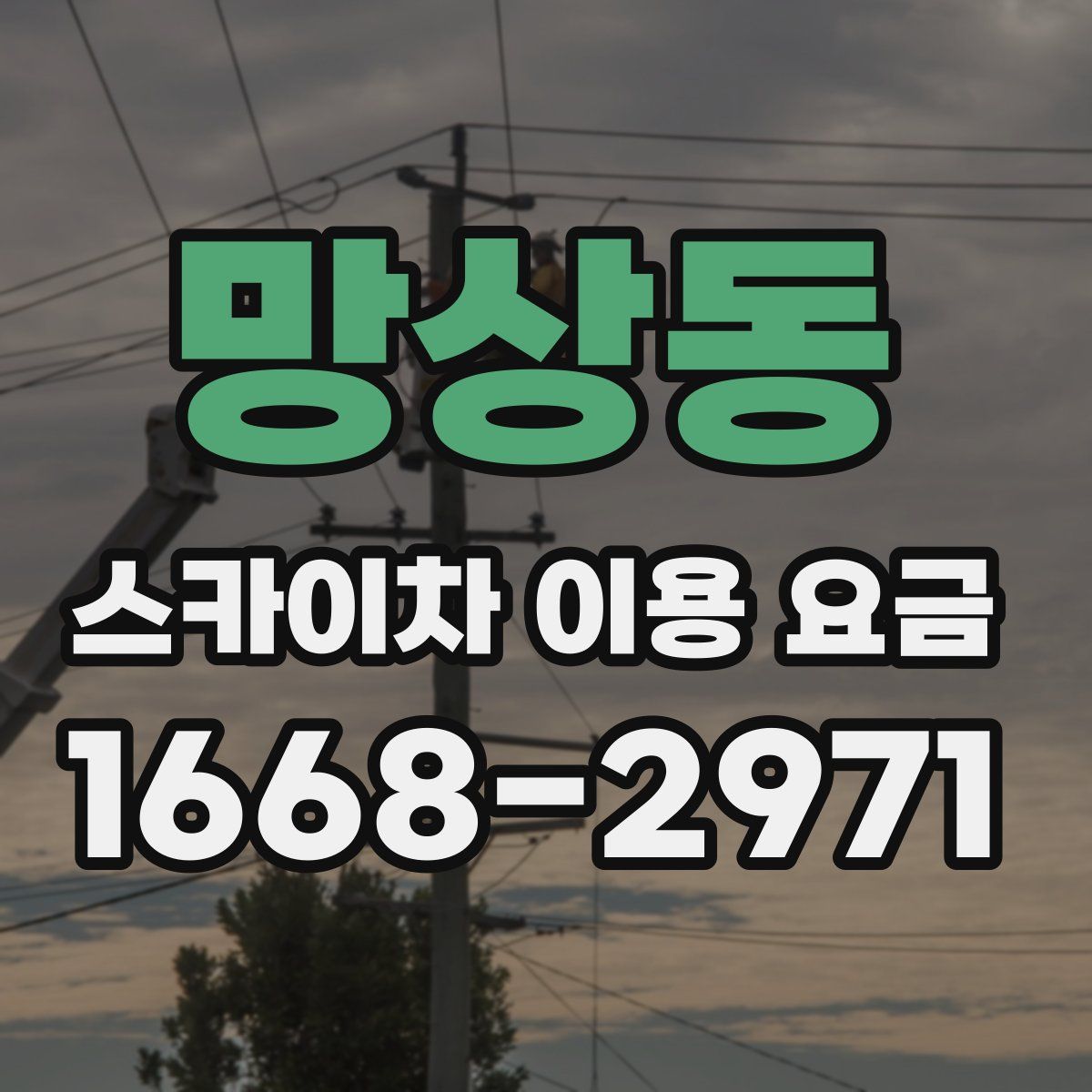 망상동 스카이차 이용 요금