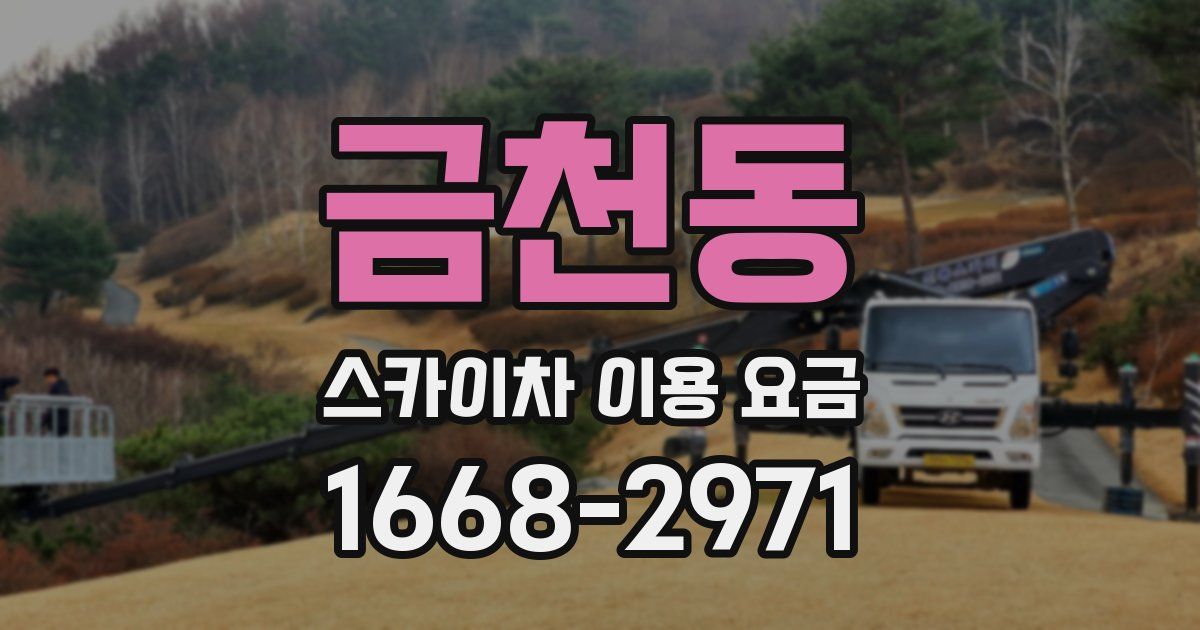 금천동 스카이차 이용 요금