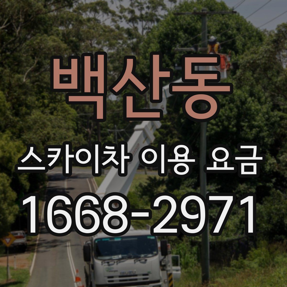 백산동 스카이차 이용 요금 기준을 세우는 방법