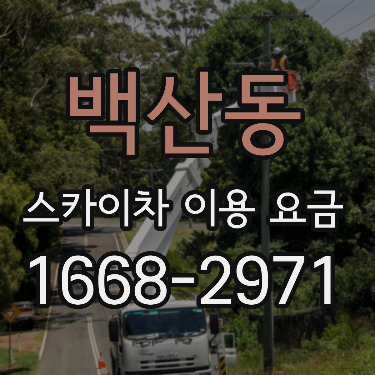 백산동 스카이차 이용 요금