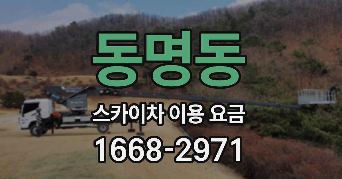 동명동 스카이차 이용 요금