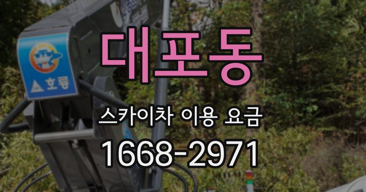 대포동 스카이차 이용 요금