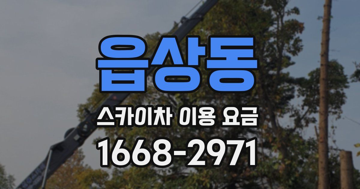 읍상동 스카이차 이용 요금