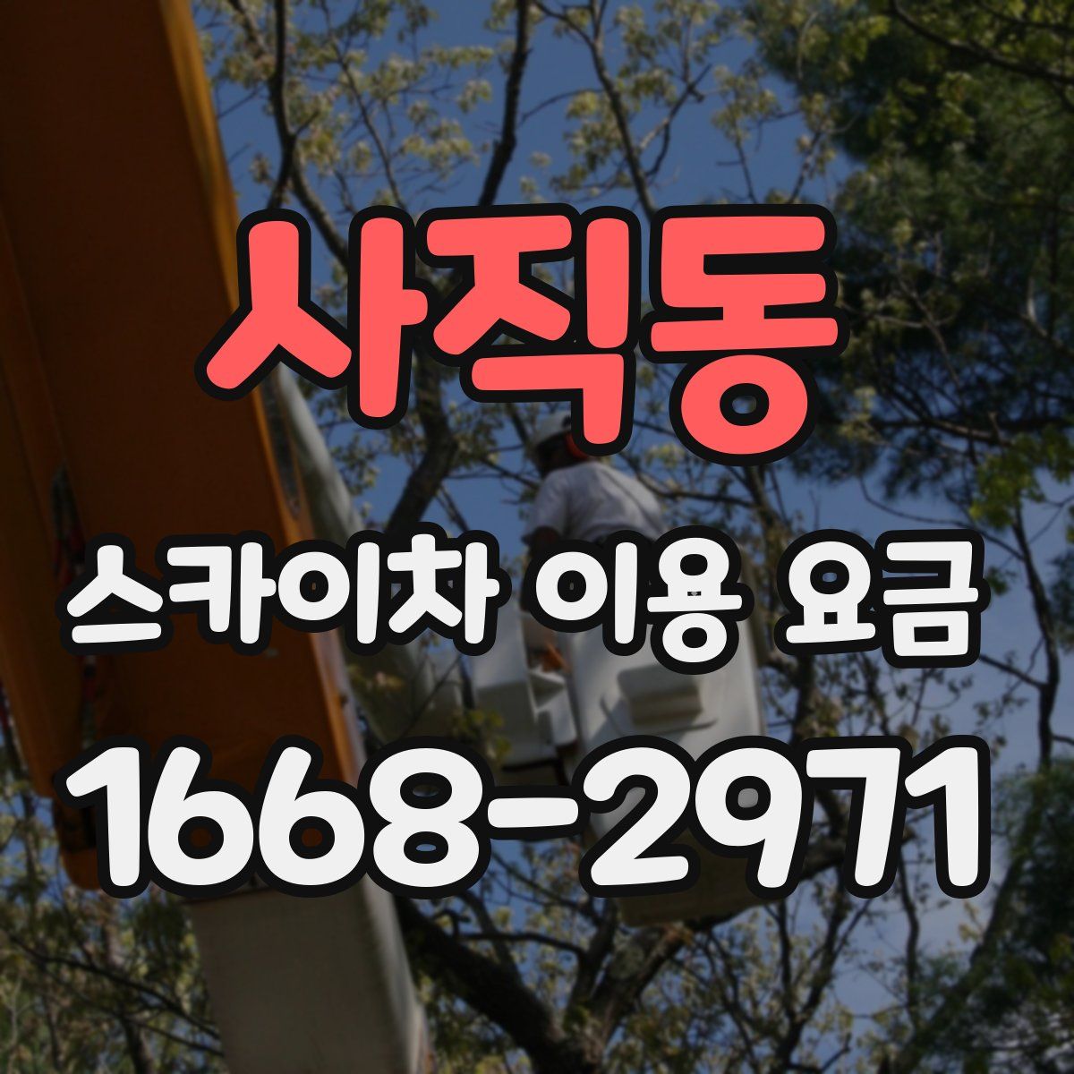 사직동 스카이차 이용 요금