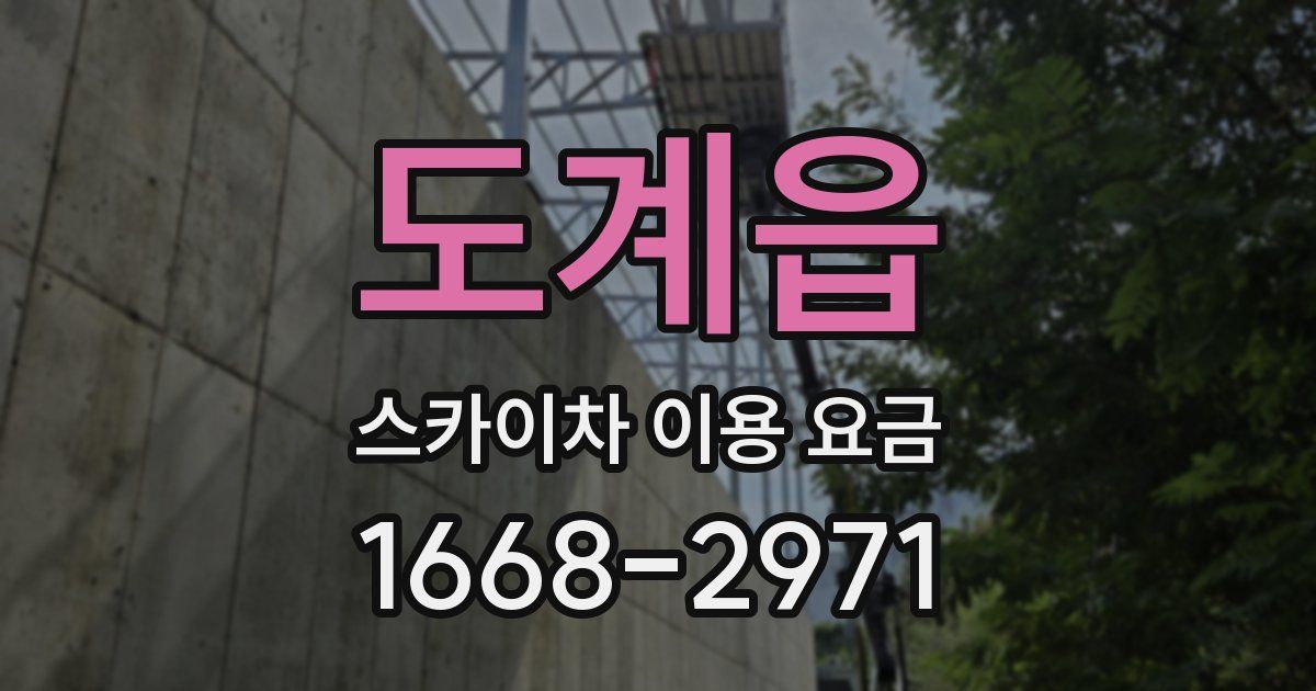 도계읍 스카이차 이용 요금