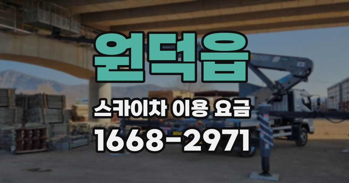 원덕읍 스카이차 이용 요금
