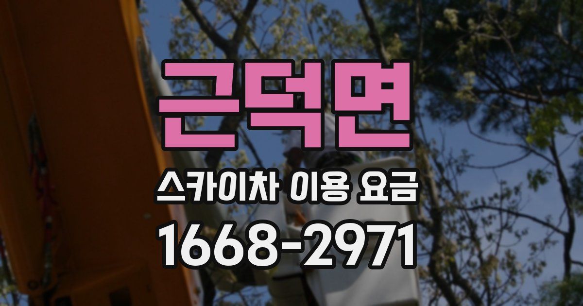 근덕면 스카이차 이용 요금