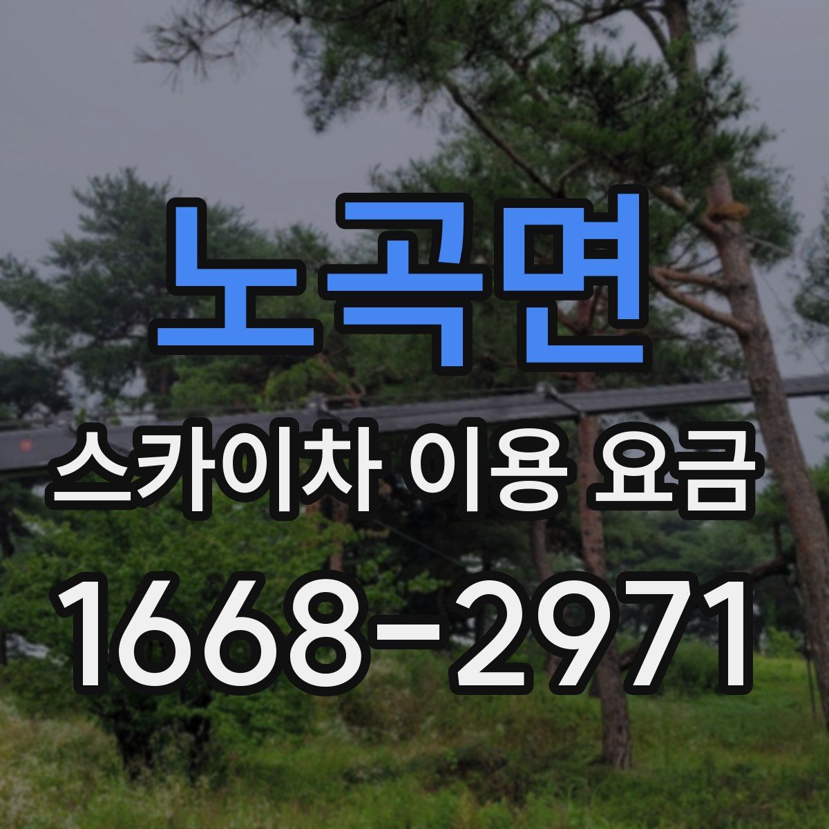 노곡면 스카이차 이용 요금