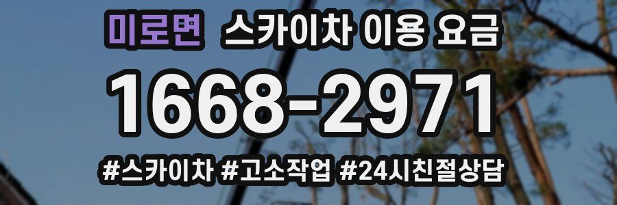미로면 스카이차 이용 요금