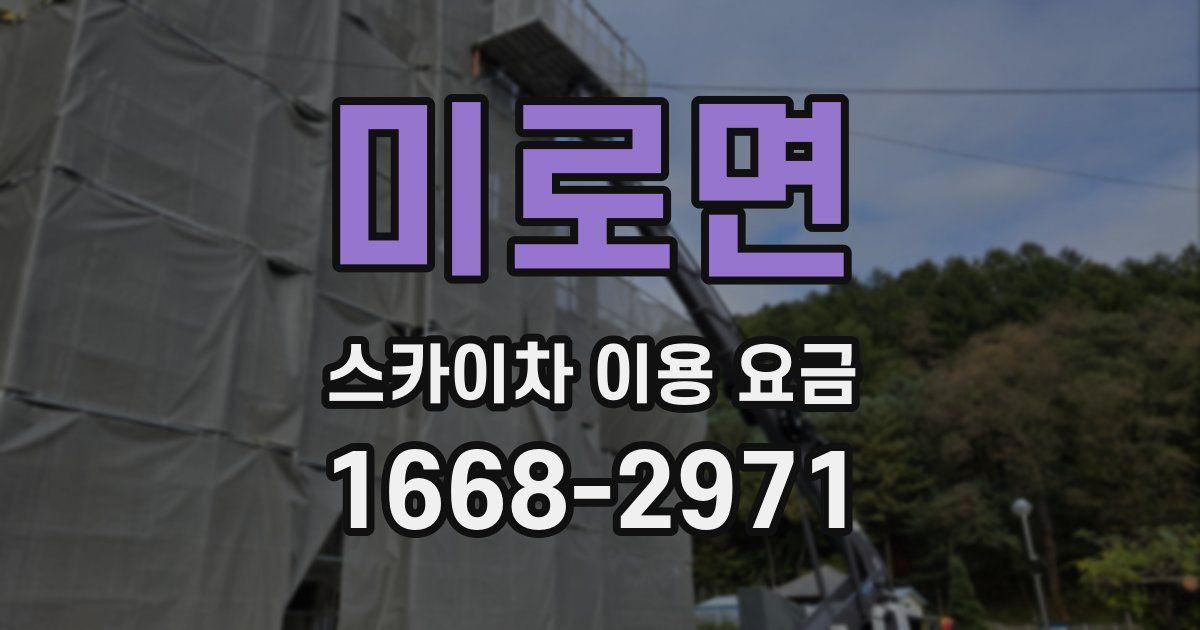 미로면 스카이차 이용 요금