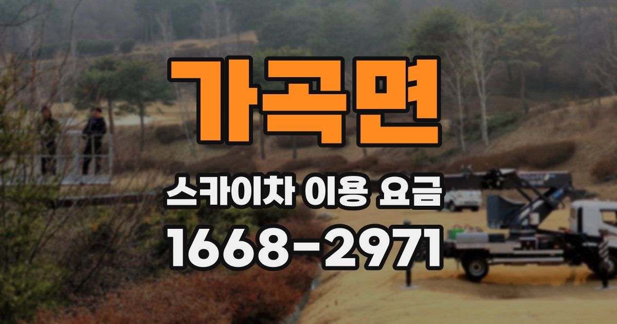 가곡면 스카이차 이용 요금