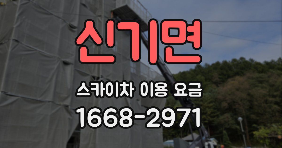 신기면 스카이차 이용 요금