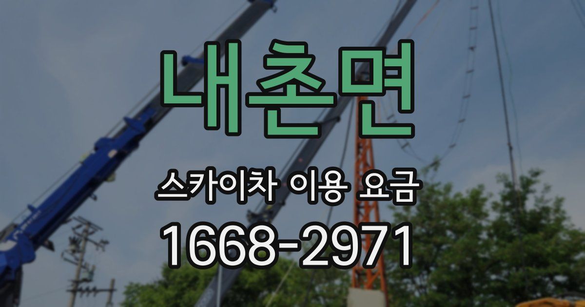 내촌면 스카이차 이용 요금