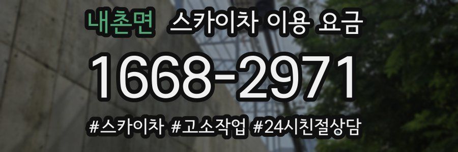 내촌면 스카이차 이용 요금