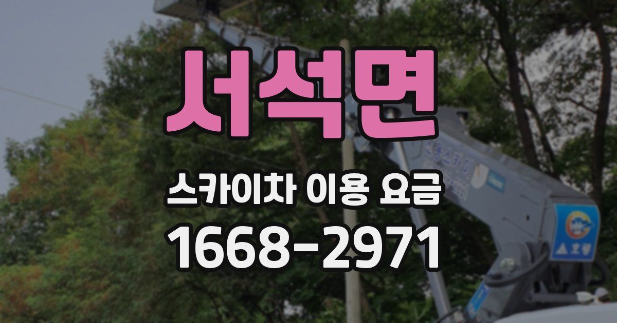 서석면 스카이차 이용 요금