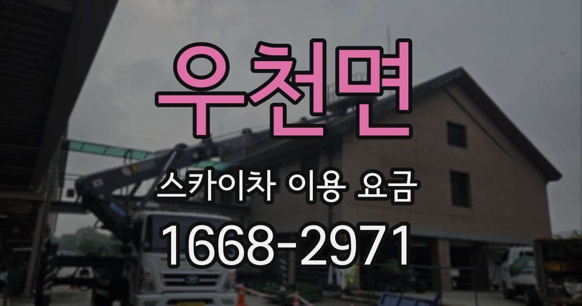우천면 스카이차 이용 요금