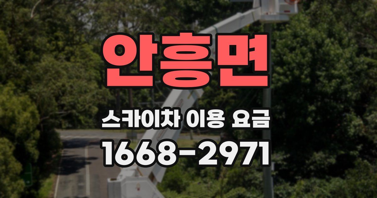 안흥면 스카이차 이용 요금