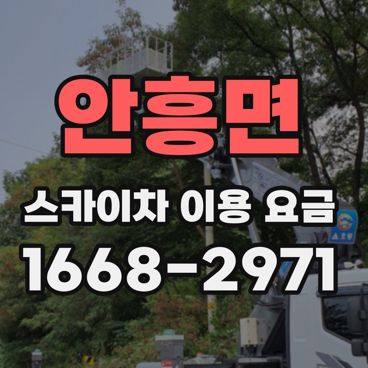 안흥면 스카이차 이용 요금