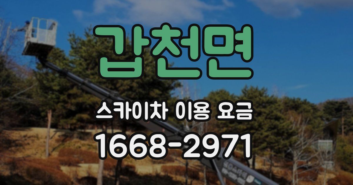 갑천면 스카이차 이용 요금
