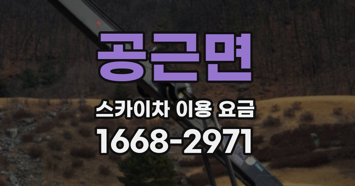 공근면 스카이차 이용 요금
