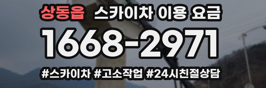상동읍 스카이차 이용 요금