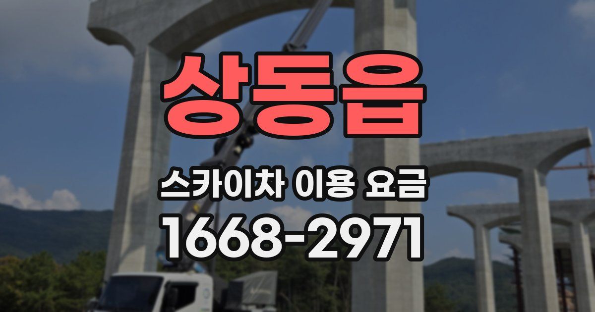 상동읍 스카이차 이용 요금