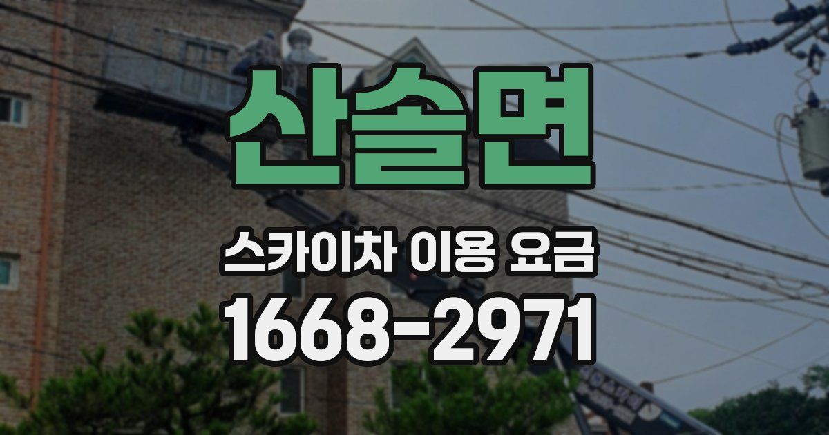 산솔면 스카이차 이용 요금