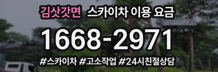 김삿갓면 스카이차 이용 요금