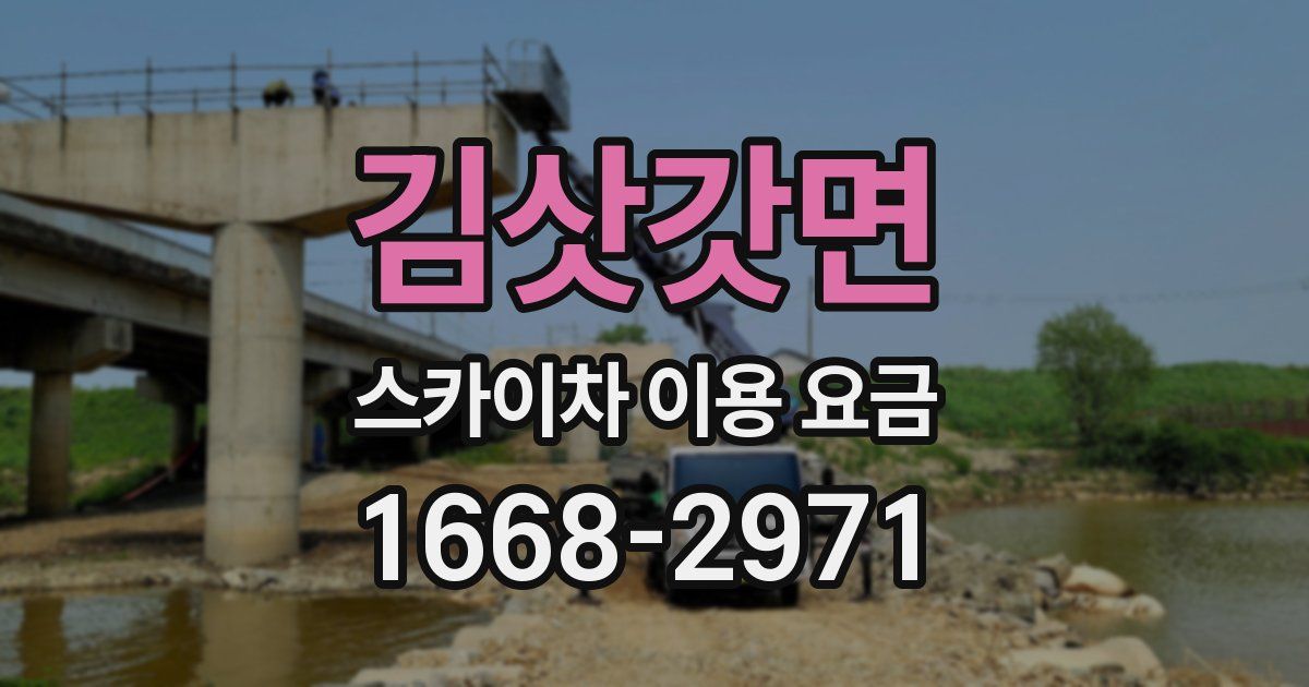 김삿갓면 스카이차 이용 요금