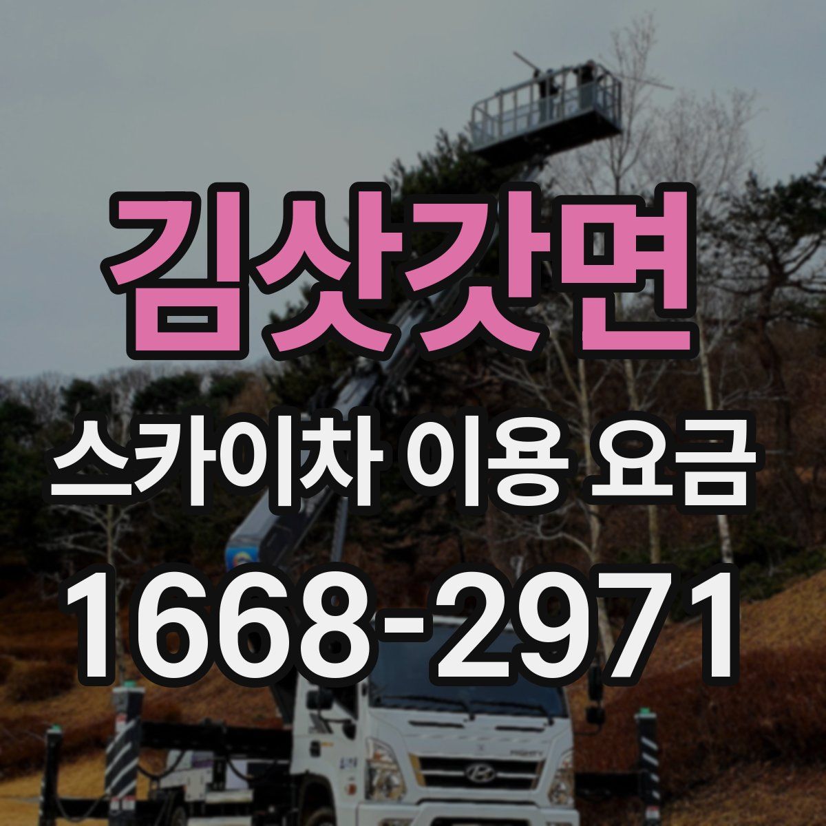 김삿갓면 스카이차 이용 요금