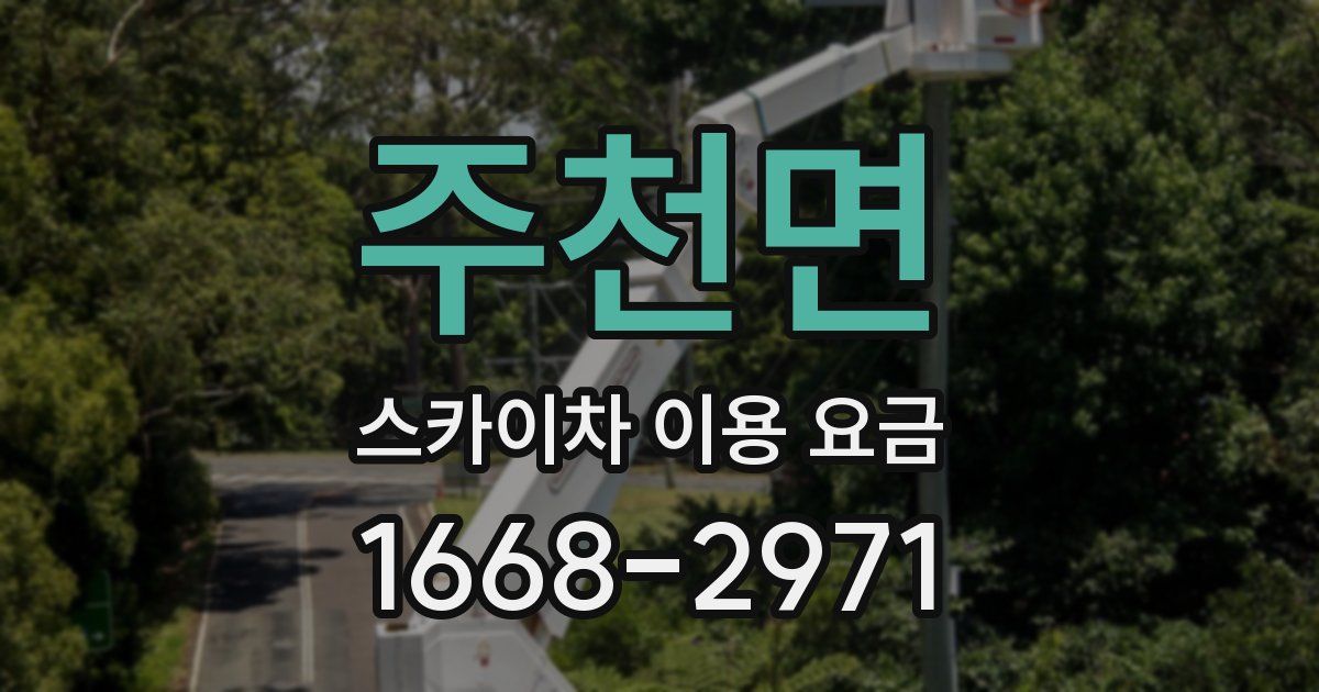 주천면 스카이차 이용 요금