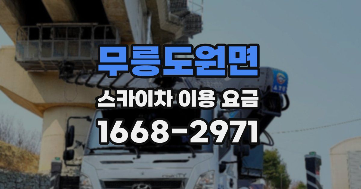 무릉도원면 스카이차 이용 요금