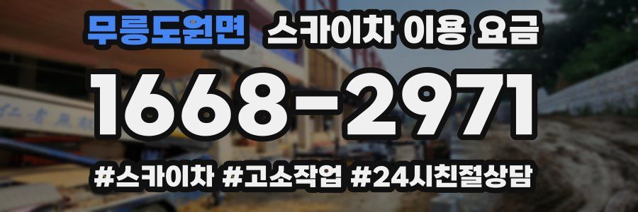 무릉도원면 스카이차 이용 요금
