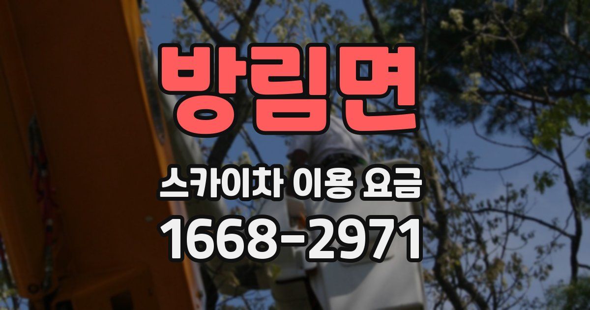 방림면 스카이차 이용 요금