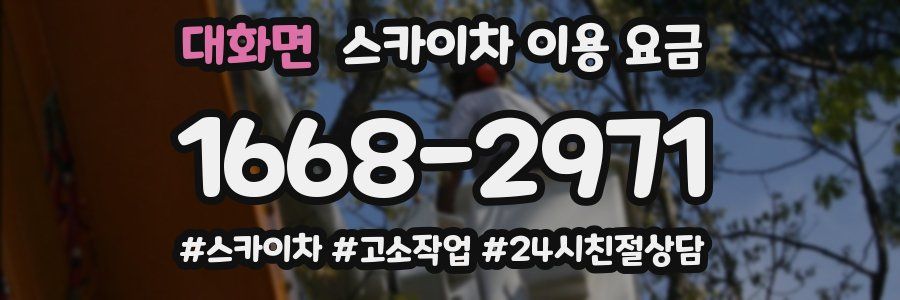 대화면 스카이차 이용 요금