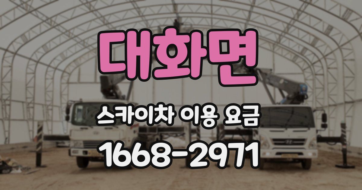 대화면 스카이차 이용 요금