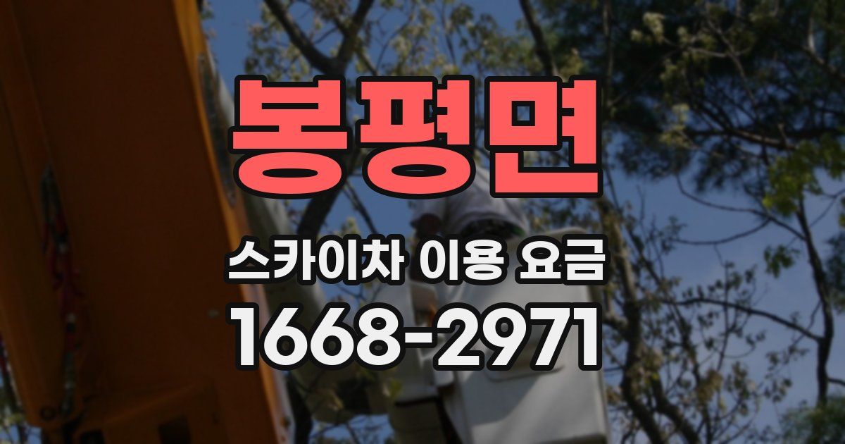 봉평면 스카이차 이용 요금