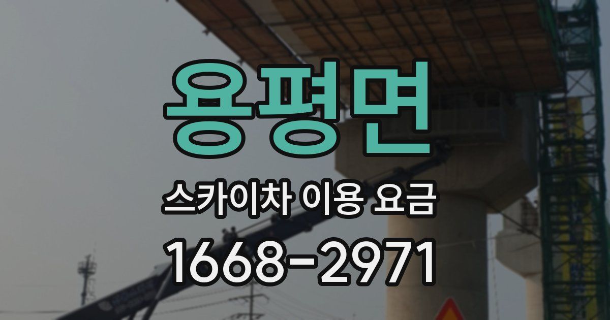 용평면 스카이차 이용 요금