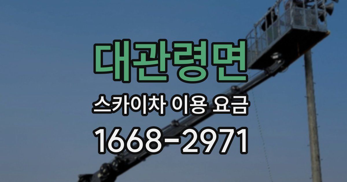 대관령면 스카이차 이용 요금