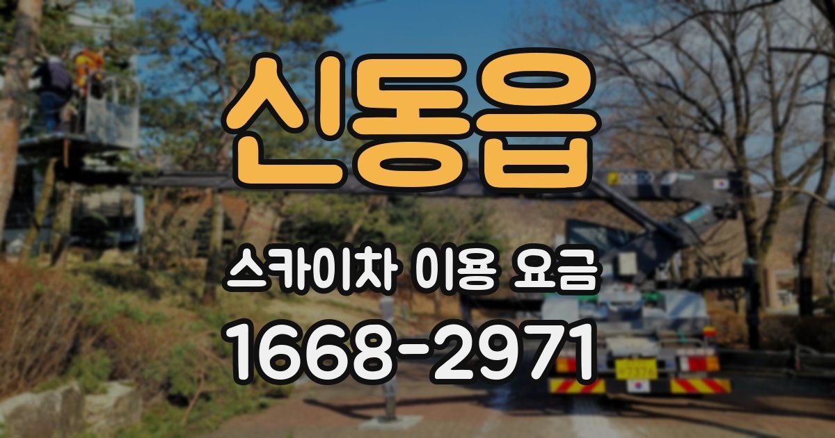 신동읍 스카이차 이용 요금